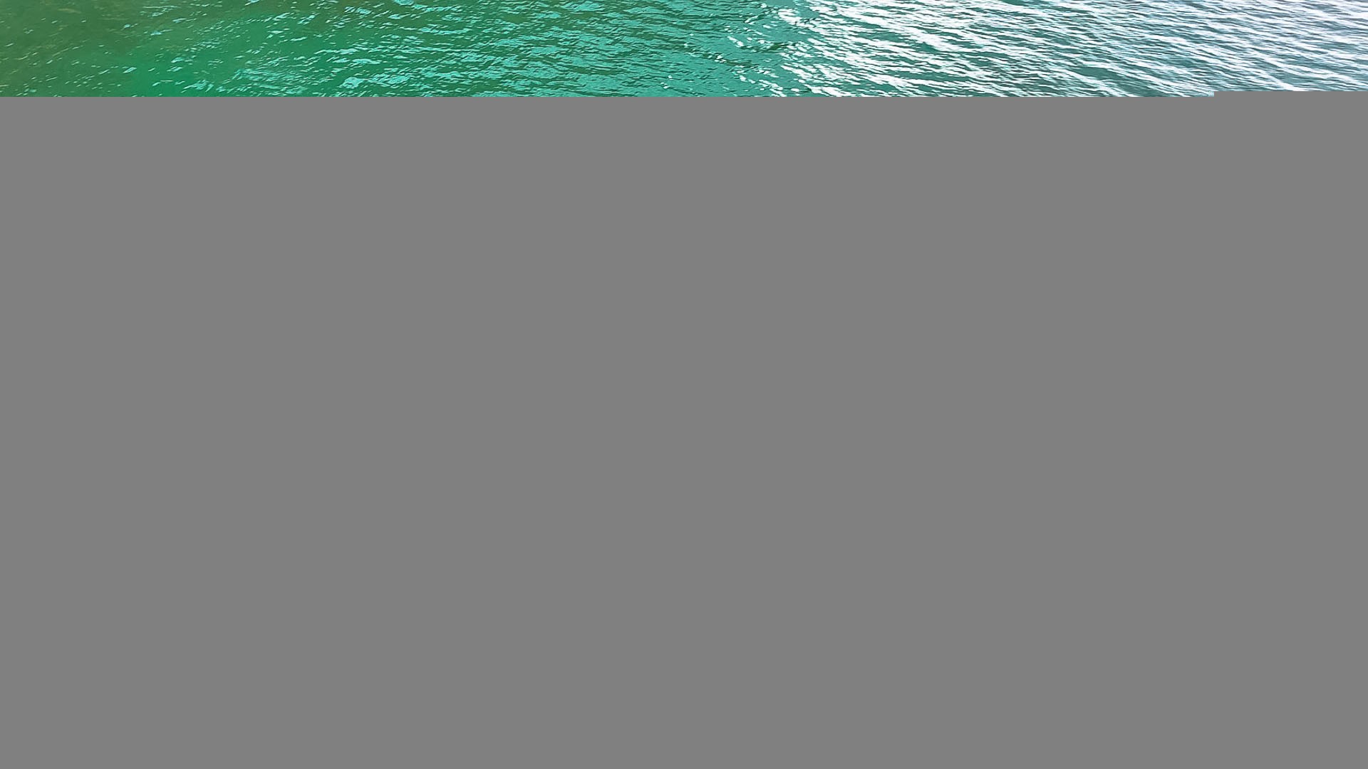 Test pumpfoil alpinefoil annecy avril 2025 79