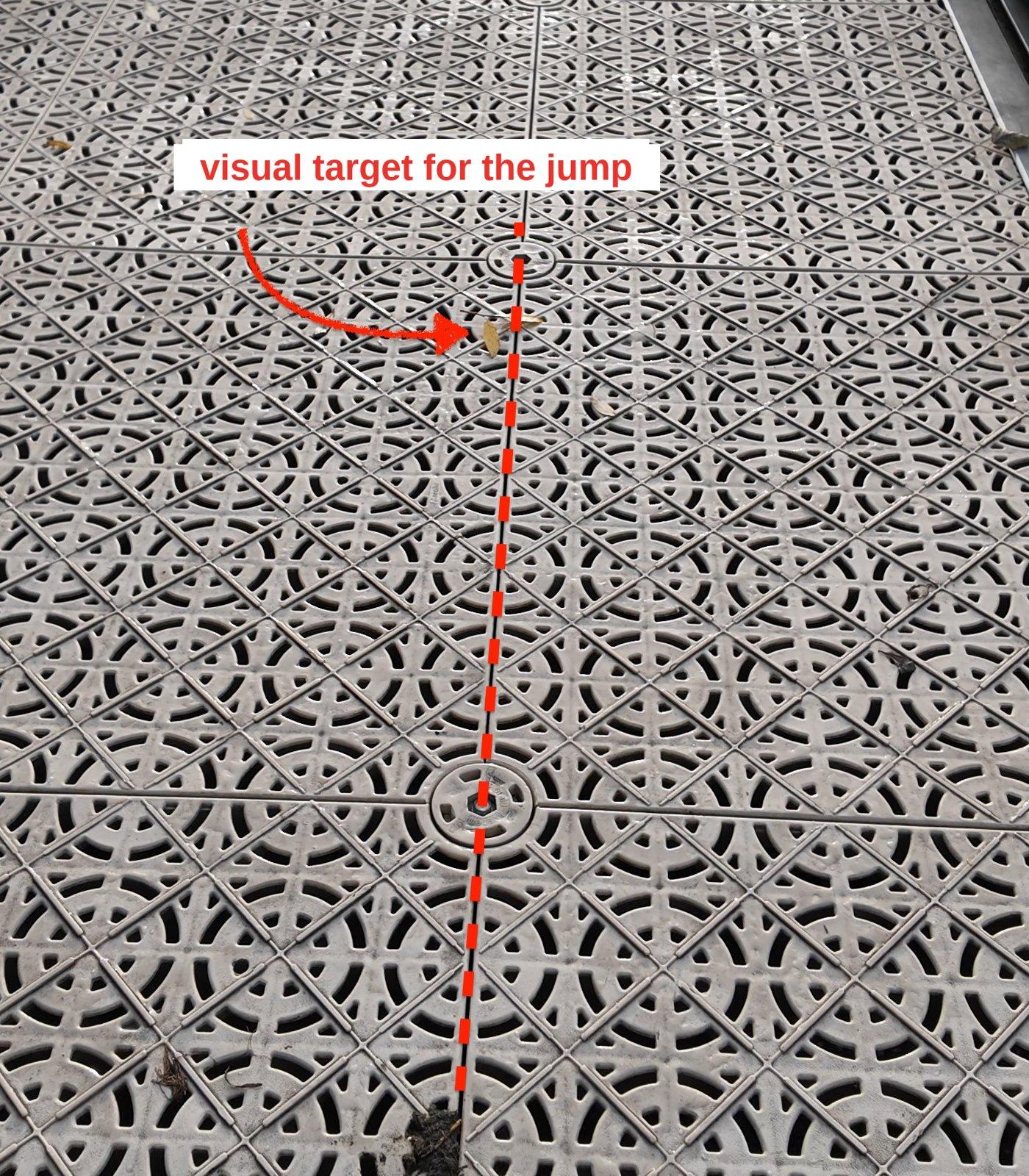 Visual target on the ground for the drop start jump Visual target on the ground for the drop start jump