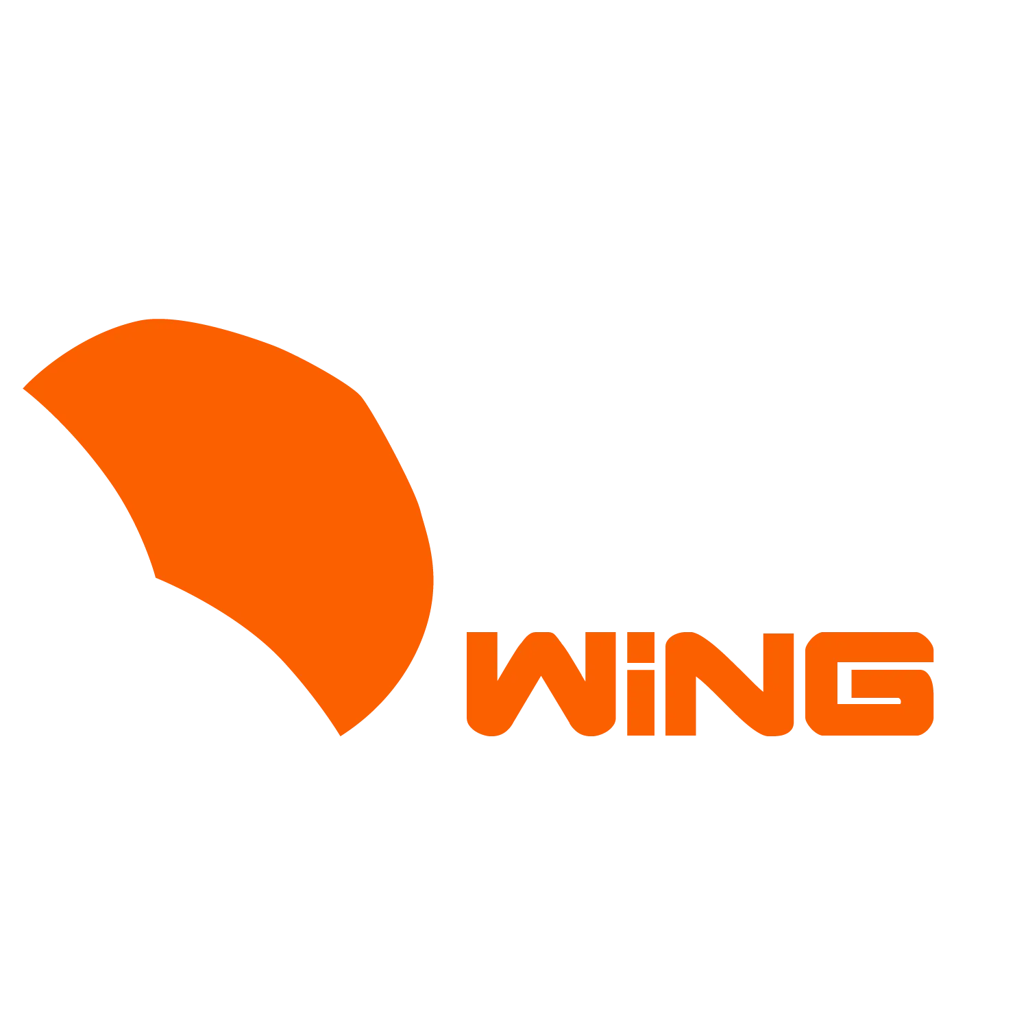 Wing Foil